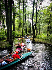People canoeing in stream amidst forest