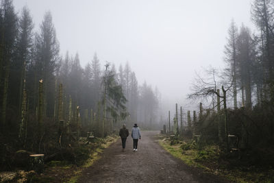 Rear view of man walking on road in forest