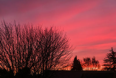 Silhouette trees against sky during sunset