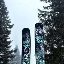 Low angle view of trees against sky