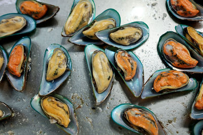 High angle view of fish on table