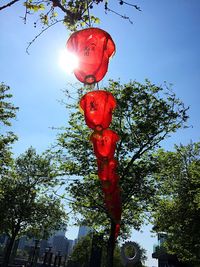 Low angle view of sun shining through trees