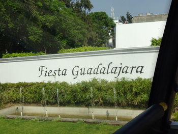 Information sign by trees seen through car window