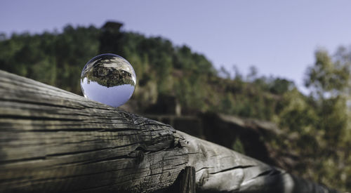 Close-up of wood against clear sky