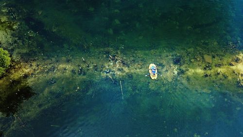 High angle view of woman swimming in lake