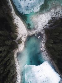 Aerial view of frozen lake amidst trees in forest