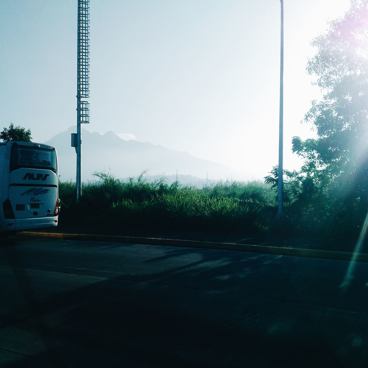 ROAD BY TREES AGAINST CLEAR SKY SEEN THROUGH GLASS WINDOW