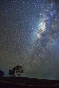 Trees on field against sky at night