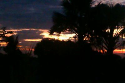 Low angle view of silhouette trees against sky at sunset