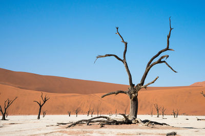 Scenic view of desert against sky. deadvlei, namib