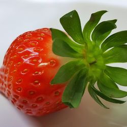 Close-up of strawberry