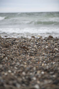 Surface level of pebble beach