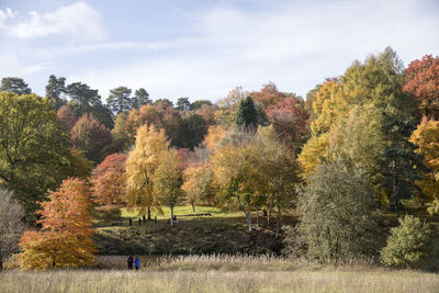 Trees on field against sky during autumn