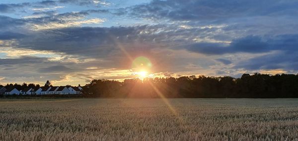 Scenic view of field against sky during sunset