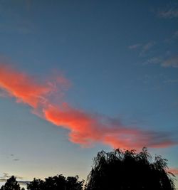 Low angle view of silhouette trees against sky during sunset