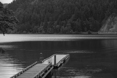 Pier over lake in forest