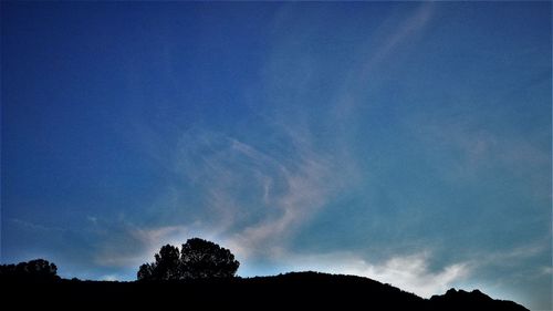 Silhouette trees against sky at night