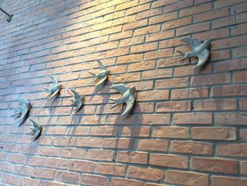 View of a bird on brick wall