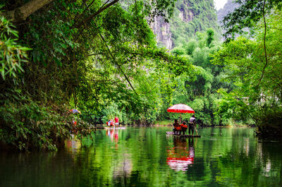 People sitting in water against trees