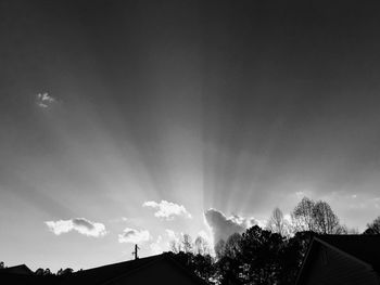 Low angle view of trees against sky