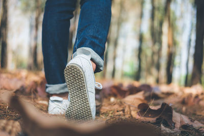 Low section of person walking in forest