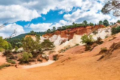 Plants growing on rock against sky