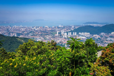 High angle view of trees and buildings against sky