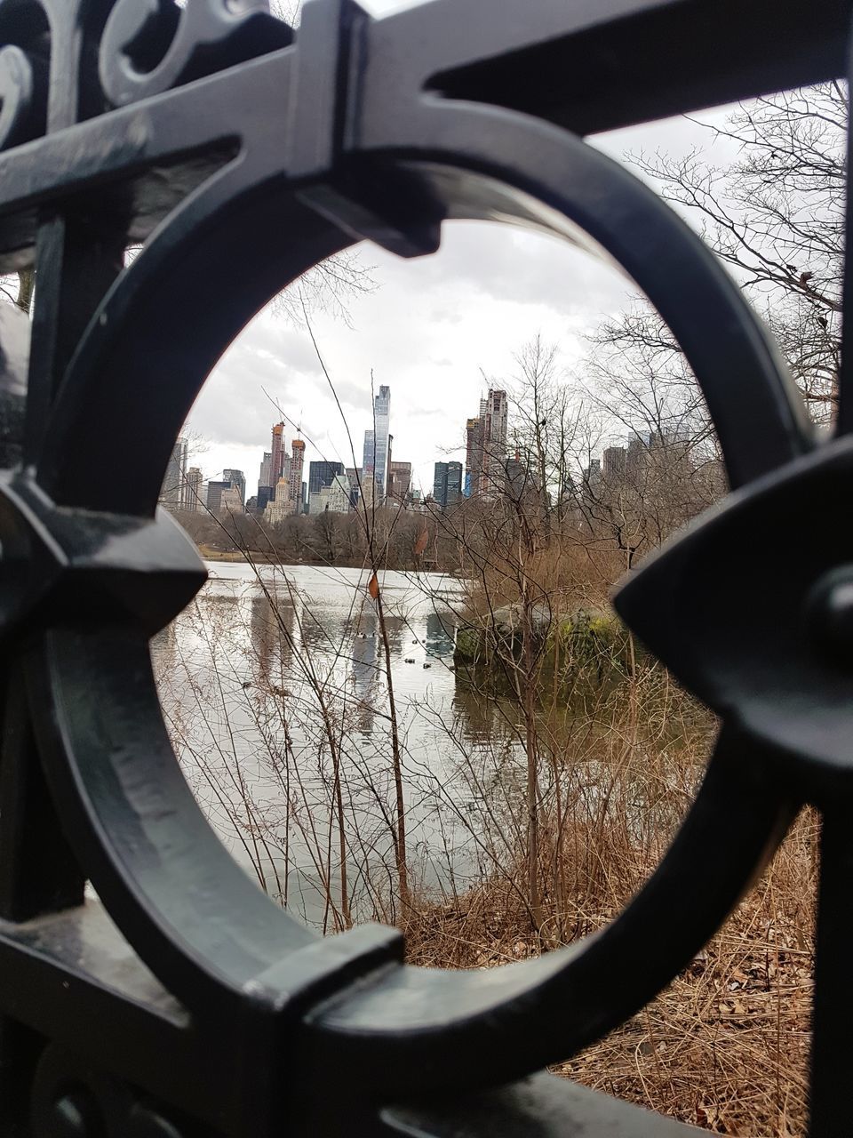 REFLECTION OF BARE TREES ON RIVER AGAINST BUILDINGS