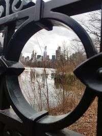 Reflection of bare trees on river against buildings in city