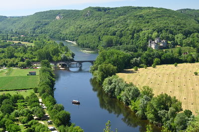 High angle view of river amidst trees