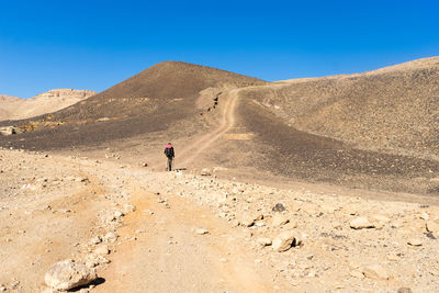 Rear view of person walking on land against sky