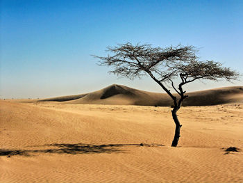 Scenic view of desert against clear sky