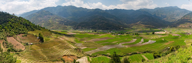 Scenic view of agricultural field against mountains