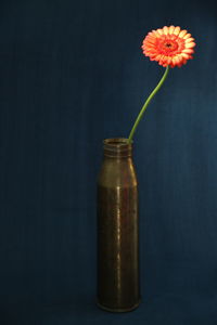 Close-up of red flower on table against black background