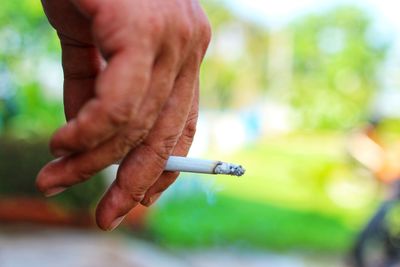 Cropped hand of man holding cigarette