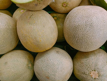 cantaloupe