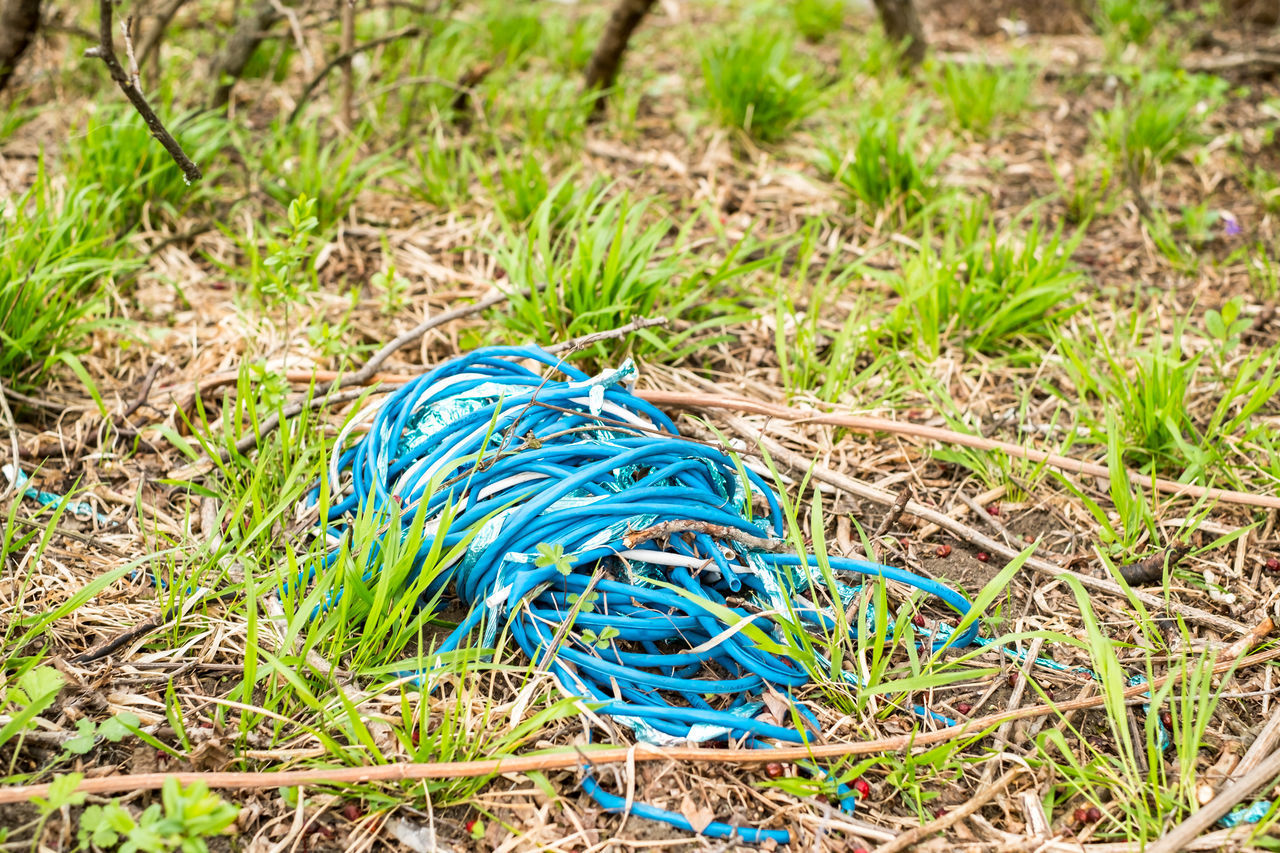 HIGH ANGLE VIEW OF BLUE ROPES ON FIELD