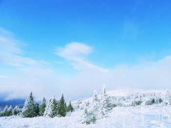 Scenic view of snow covered landscape against blue sky