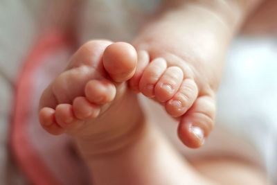 Close-up of baby feet