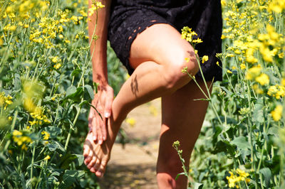 Low section of woman rubbing leg amidst yellow flowering plants