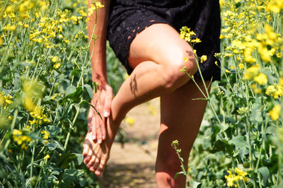Low section of woman rubbing leg amidst yellow flowering plants