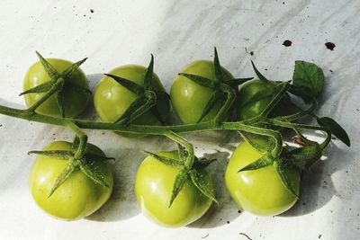 High angle view of vegetables