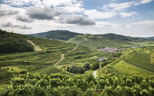 Scenic view of agricultural field against sky