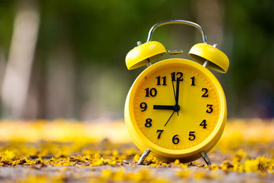 Close-up of yellow clock at park