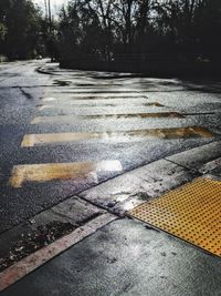 Close-up of wet tree