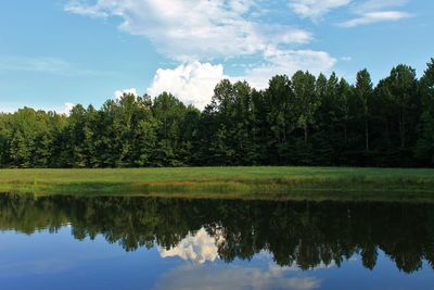 Reflection of trees in lake against sky