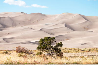 Scenic view of desert against sky