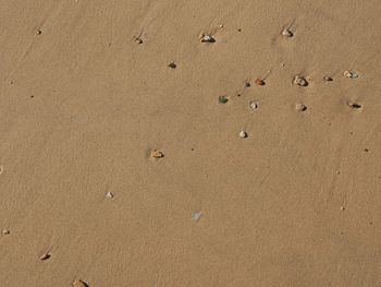 High angle view of footprints on sand at beach