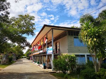 Footpath amidst palm trees and houses against sky