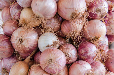 Full frame shot of onions